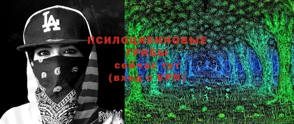 крисы Снежногорск