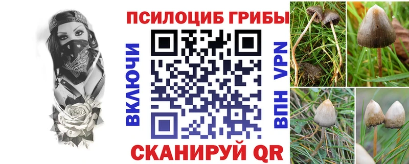 Купить закладки  Казань  Галлюциногенные грибы прущие грибы 